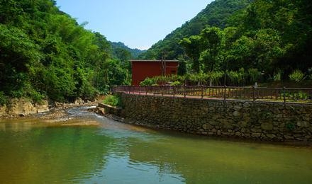 臨武·西瑤綠谷國家森林公園爛漫櫻花谷二期