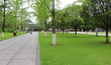 長沙·湘府文化公園養護項目